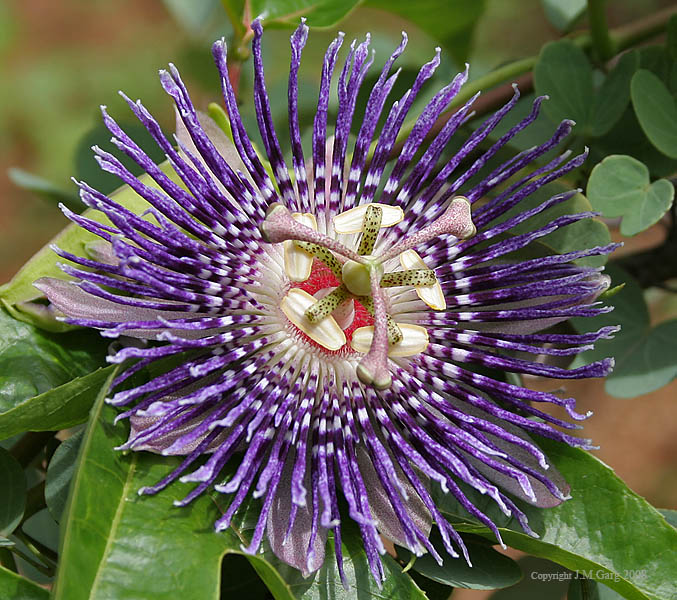 Men dostimning sikini sorishni yaxshi koraman Plyajda yalangoch nudist erkaklar video